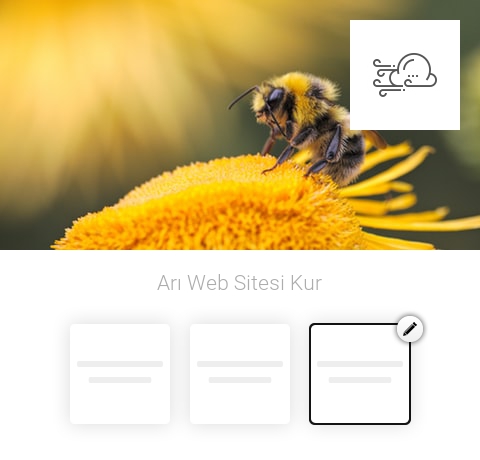 Arı Web Sitesi Kur