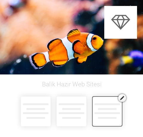 Balık Hazır Web Sitesi