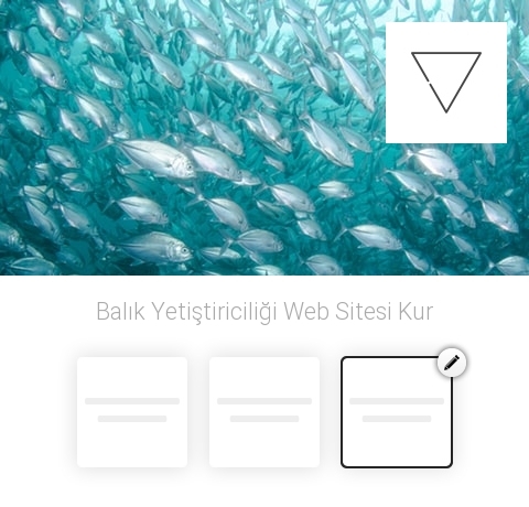 Balık Yetiştiriciliği Web Sitesi Kur