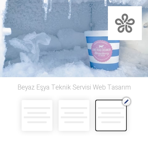 Beyaz Eşya Teknik Servisi Web Tasarım