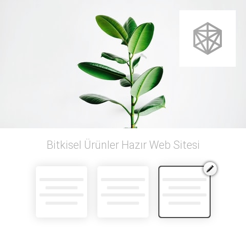 Bitkisel Ürünler Hazır Web Sitesi