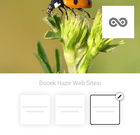 Böcek Hazır Web Sitesi