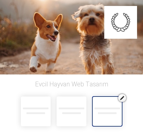 Evcil Hayvan Web Tasarım