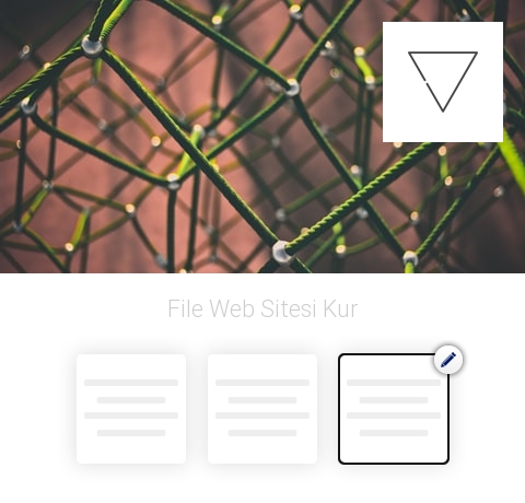 File Web Sitesi Kur