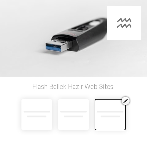 Flash Bellek Hazır Web Sitesi
