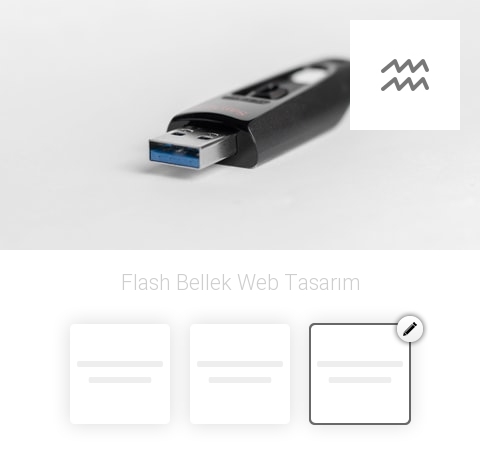 Flash Bellek Web Tasarım