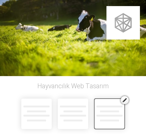 Hayvancılık Web Tasarım
