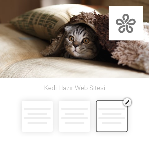 Kedi Hazır Web Sitesi