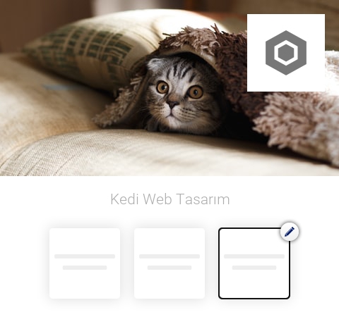 Kedi Web Tasarım