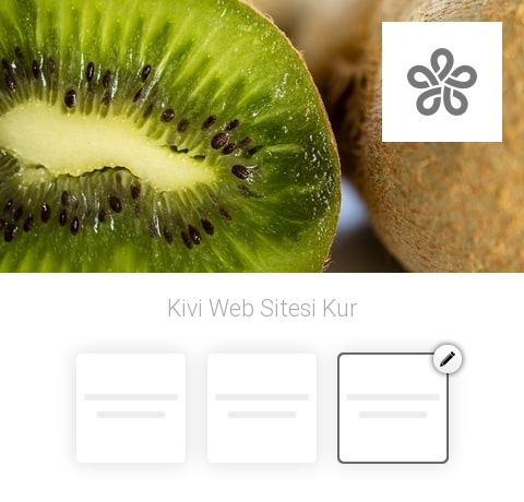 Kivi Web Sitesi Kur