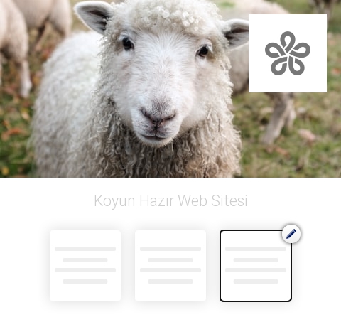 Koyun Hazır Web Sitesi