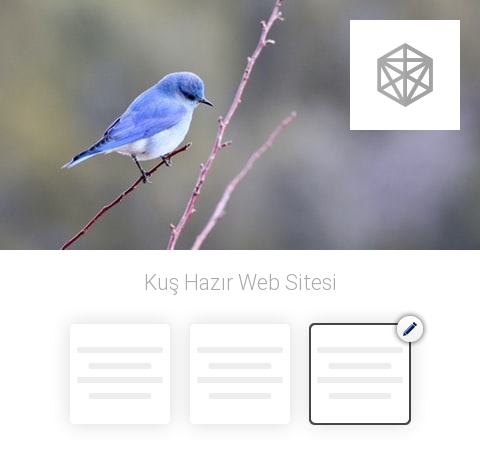 Kuş Hazır Web Sitesi