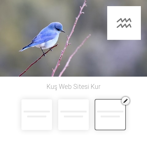 Kuş Web Sitesi Kur