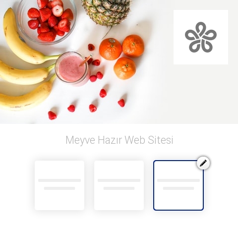Meyve Hazır Web Sitesi