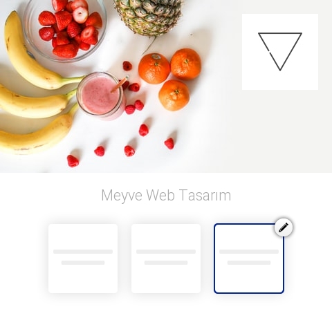 Meyve Web Tasarım