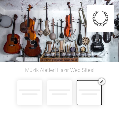 Müzik Aletleri Hazır Web Sitesi