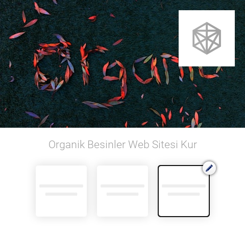 Organik Besinler Web Sitesi Kur