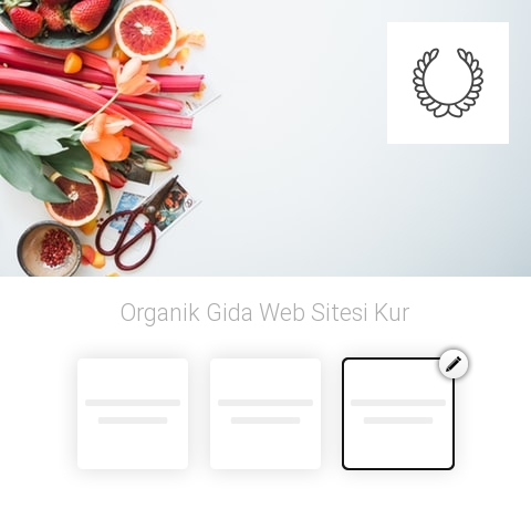 Organik Gıda Web Sitesi Kur