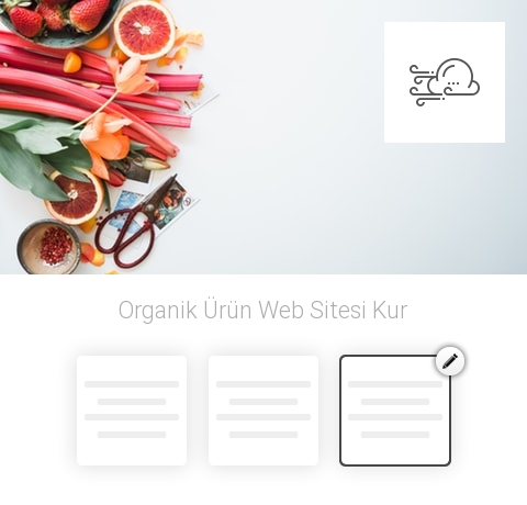 Organik Ürün Web Sitesi Kur
