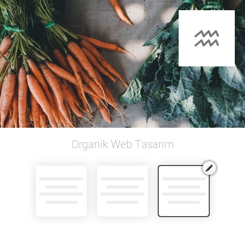 Organik Web Tasarım