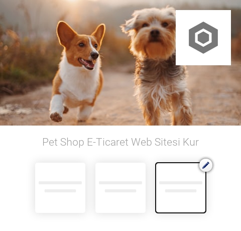 Pet Shop E-Ticaret Web Sitesi Kur