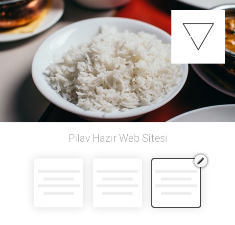 Pilav Hazır Web Sitesi