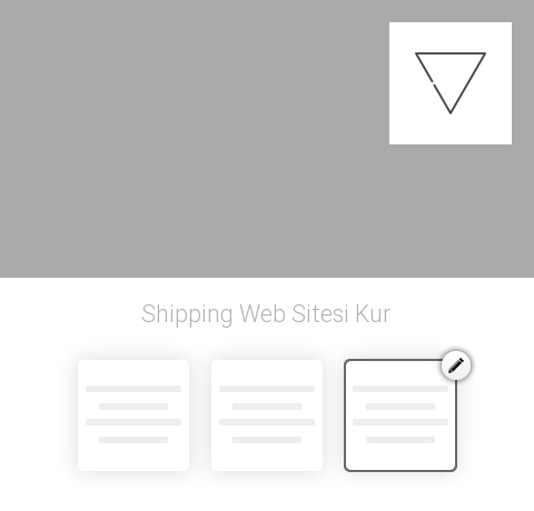 Shipping Web Sitesi Kur
