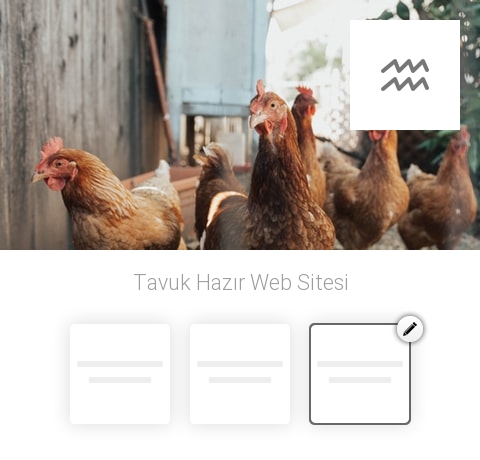 Tavuk Hazır Web Sitesi