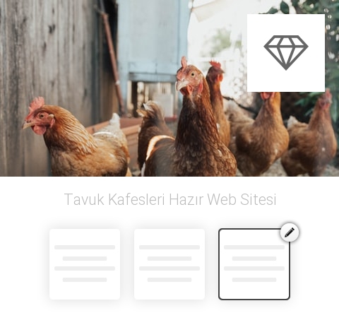 Tavuk Kafesleri Hazır Web Sitesi