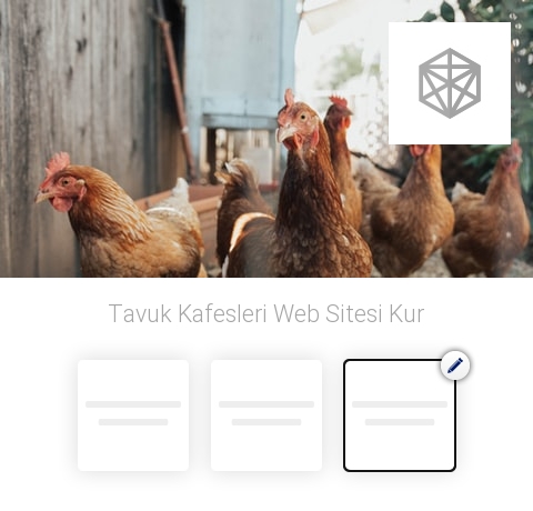 Tavuk Kafesleri Web Sitesi Kur