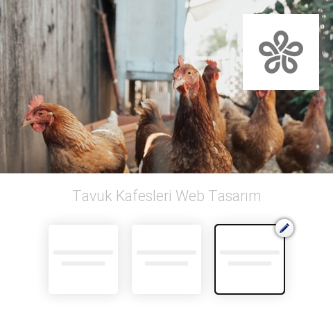 Tavuk Kafesleri Web Tasarım