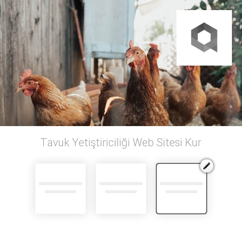 Tavuk Yetiştiriciliği Web Sitesi Kur