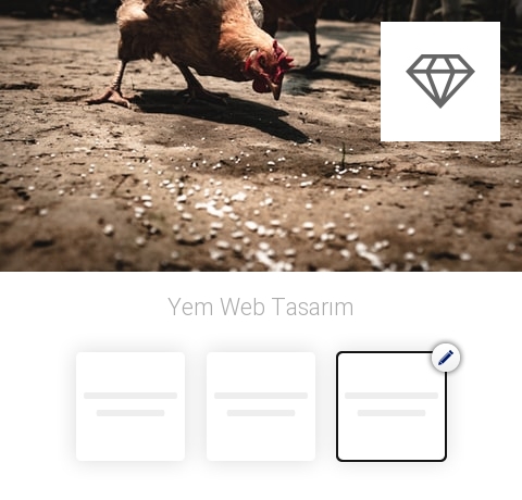 Yem Web Tasarım