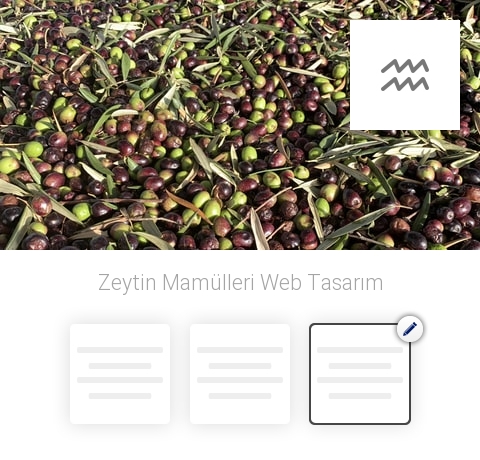Zeytin Mamülleri Web Tasarım