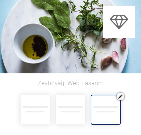 Zeytinyağı Web Tasarım